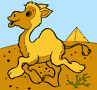 Dibujo Camello pintado por XxRakoxX