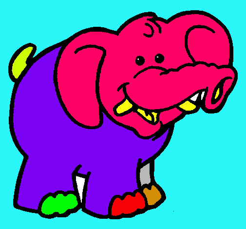 Elefante