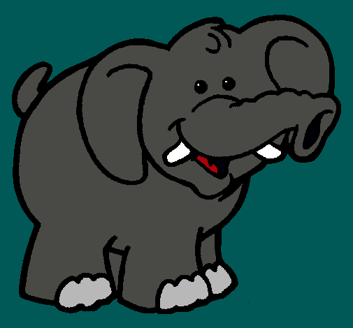 Elefante