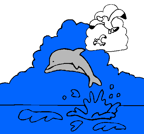 Delfín y gaviota