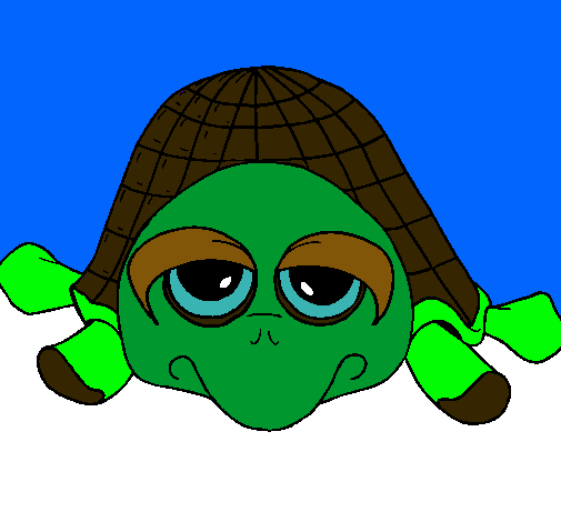 Tortuga