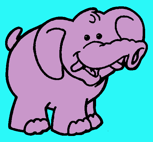 Elefante