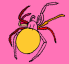 Dibujo Araña venenosa pintado por AINHOA
