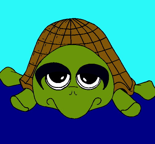 Tortuga