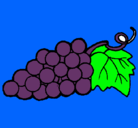 Dibujo racimo pintado por uva