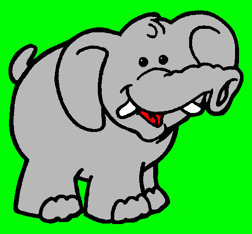 Elefante