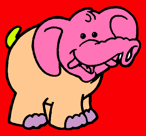 Elefante