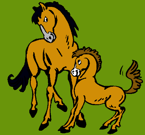 Caballos