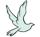 Dibujo Paloma de la paz al vuelo pintado por ainhoa