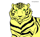 Dibujo Tigre pintado por fer