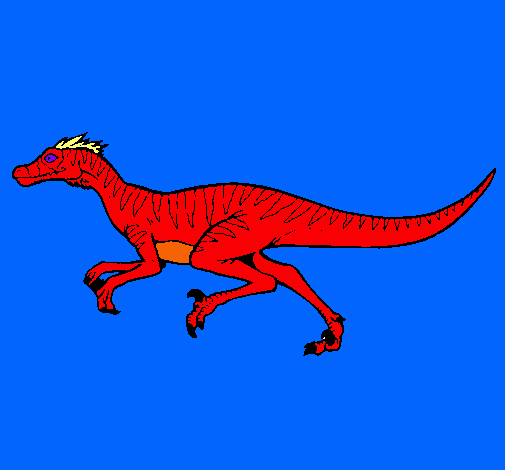 Velociraptor