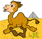 Dibujo Camello pintado por lauradanielaramirez