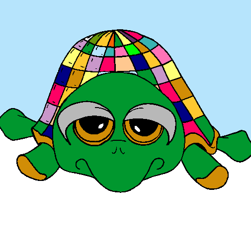 Tortuga