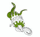 Dibujo Anaconda y caimán pintado por lauralopez