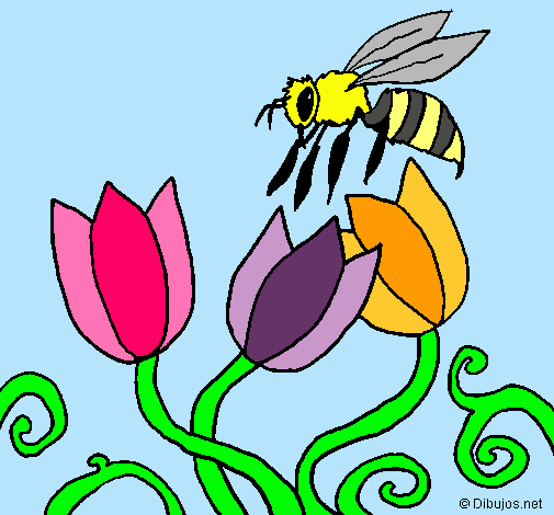 Abeja