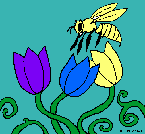 Abeja