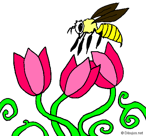 Abeja