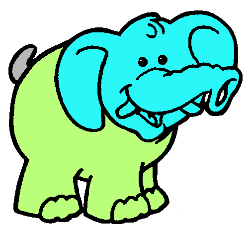 Elefante