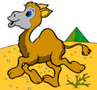 Dibujo Camello pintado por hg
