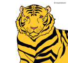 Dibujo Tigre pintado por pacog.