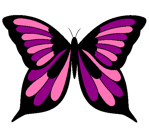 Mariposa