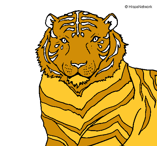 Tigre