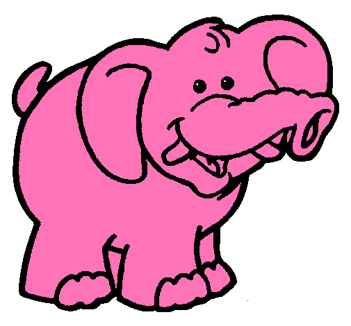 Elefante