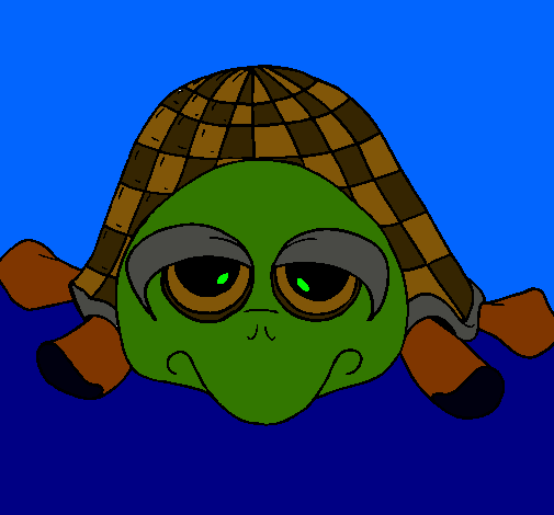 Tortuga