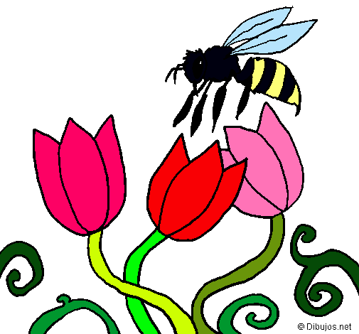 Abeja