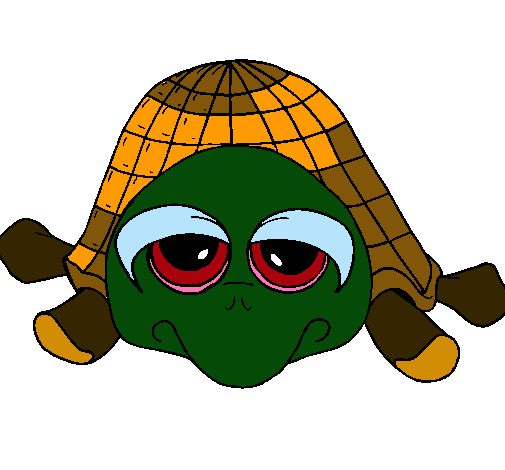 Tortuga