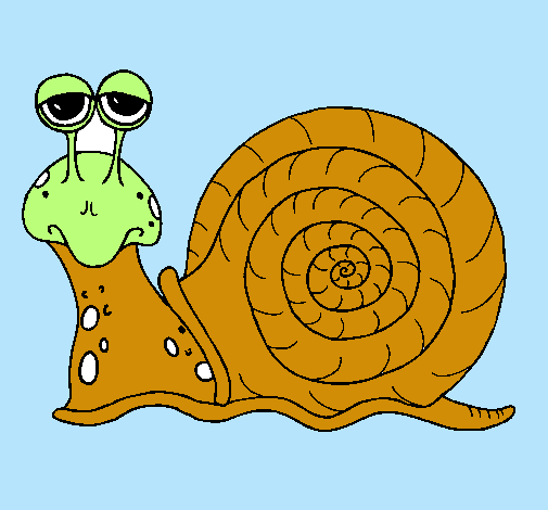 Caracol