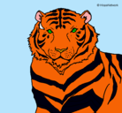 Dibujo Tigre pintado por neyda