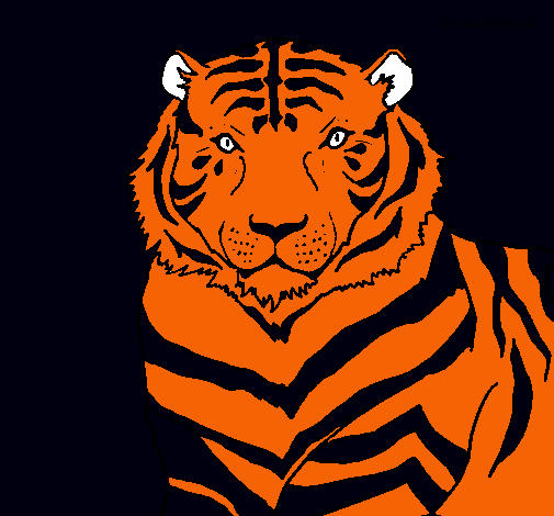 Tigre