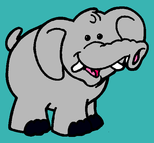 Elefante