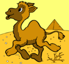 Dibujo Camello pintado por franco