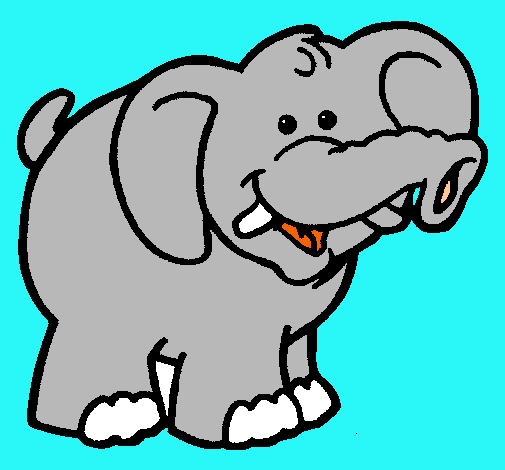 Elefante