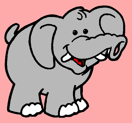 Elefante