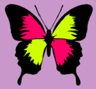 Dibujo Mariposa con alas negras pintado por avril