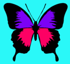 Dibujo Mariposa con alas negras pintado por martapardo