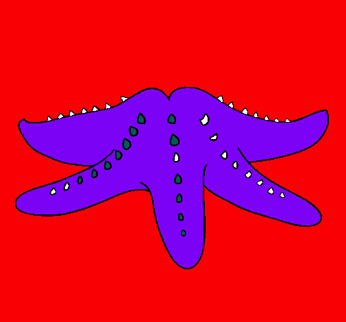 Estrella de mar