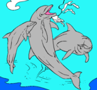 Dibujo Delfines jugando pintado por alexis