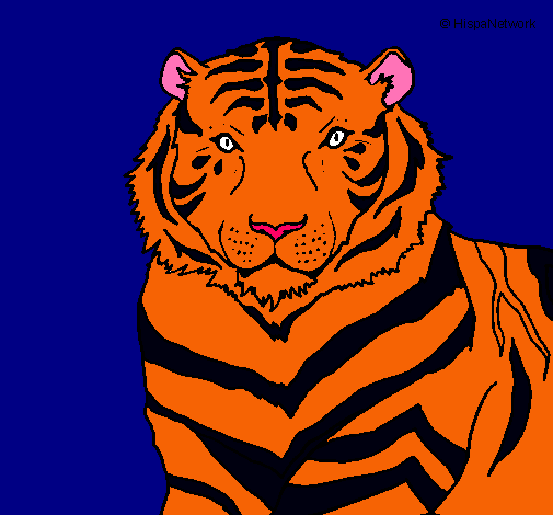 Tigre