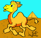 Dibujo Camello pintado por juaselmo