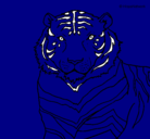 Dibujo Tigre pintado por carlos