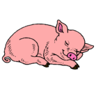 Dibujo Cerdo durmiendo pintado por katalina