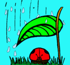 Dibujo Mariquita protegida de la lluvia pintado por mariquita