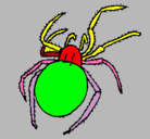 Dibujo Araña venenosa pintado por cuco
