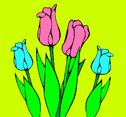 Tulipanes