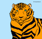 Dibujo Tigre pintado por jhomar