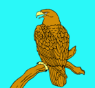 Dibujo Águila en una rama pintado por Maxi